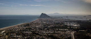 Straffbart att klappa aporna på Gibraltar