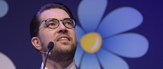 Jimmie Åkesson och Louise Erixon separerar