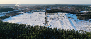 Nya industriområdet: 33 500 stubbar ska bort