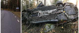 Vansinnesfärd slutade i skogen – och med åtal