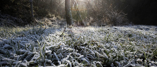 Dagens väder: Stora variationer i temperatur