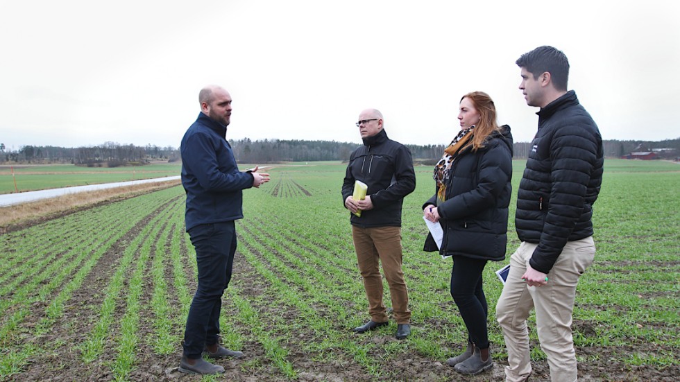 Höstsådden ser fin ut på många ställen i år konstaterar lantbrukaren Erik Zetterström, Tommy Öhman och  Fanny Althén från Ludvig & Co samt Christian Ekholm från Sparbanken Enköping, som presenterade lantbruksbarometern på torsdagen.