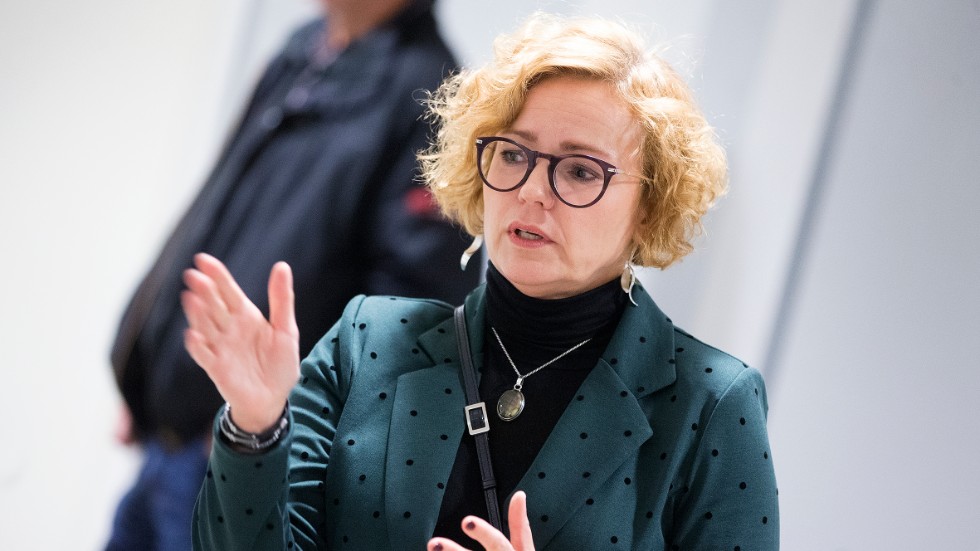 "Han har berikat sig själv på skattebetalarnas bekostnad" sammanfattade vice chefsåklagare Anna Bergström brottsmisstankarna mot 34-åringen. 