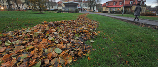 Strängnäs parkförvalting-tänk nytt!