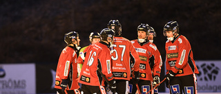 Tjust Bandy föll mot serieledaren