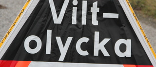 Flera viltolyckor inträffade på kort tid