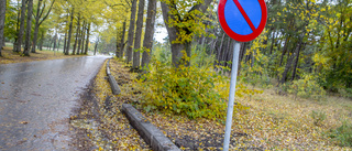 Slutparkerat i buskarna på Visborg