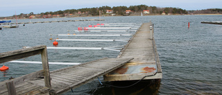 Utsläpp i Arkösund inte sanerbart