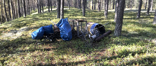 Tvingades rensa bort dumpat bråte i skogen