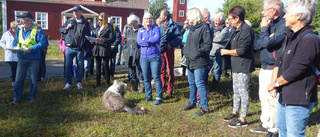 Välbesökt höstvandring genom Gryts by