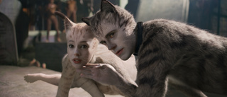 Cats - en film dömd att misslyckas