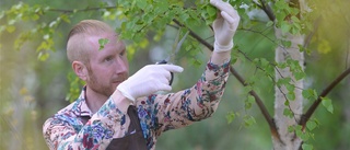 Tips på bästa sommardrinkarna 