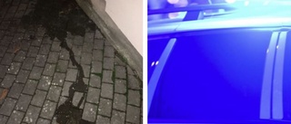 34-åring döms efter att ha kissat på vägg till kulturbyggnad