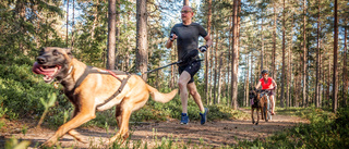 Populära hundsporten lockar många – följ med på barmarksdrag