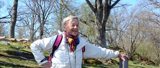 Besöksboom i Nyköpings naturreservat