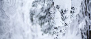 Ger svar på frågor om fenomenet snö