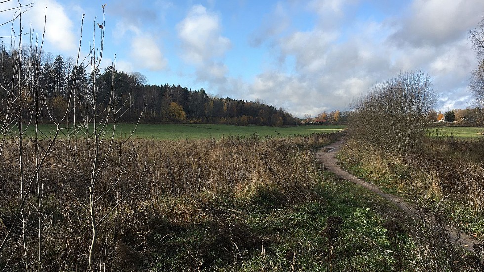 Jag som bor några kilometer utanför Krokek är naturligtvis intresserad av att rösta på ett parti som har bestämt sig för att kämpa för de frågor som betyder mycket för mig som bor och lever på landsbygden, skriver Maggan, medlem i Landsbygdspartiet oberoende, Lpo.