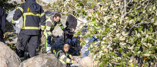 Oljeläckagage vid naturreservat i södra Visby