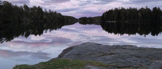 Bilda naturreservat av den naturskog som finns kvar