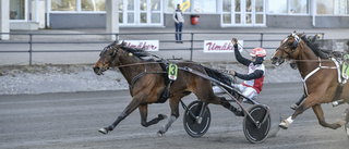 Finske stjärnan briljerade i Guldbjörken