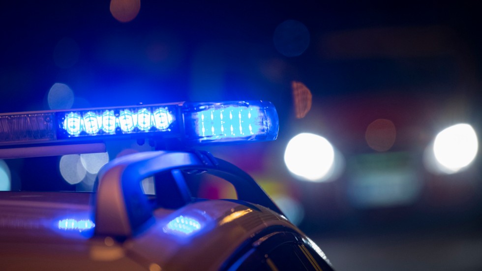 En man i 20-årsåldern har dömts för våldsamt motstånd efter en ungdomsfest i Frödinge.