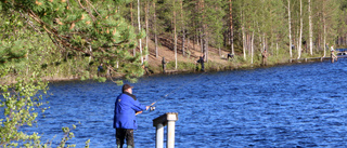 Satsa på en ny fiskepremiär i Vitsjön 