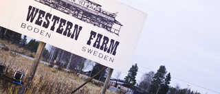 Miljonstöd räddar Western farm: "Kan andas igen"