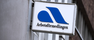 Stoppa reformeringen av Arbetsförmedlingen