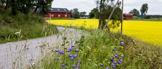 Stadens behov styr även över landsbygden