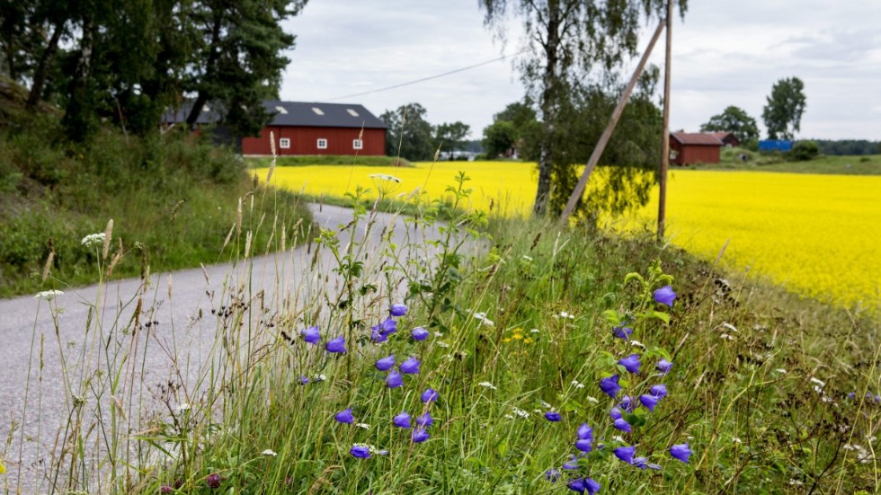 Landsbygdens behov diskrimineras, skriver Urban Ekholm Laurin