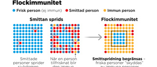 Senaste du behöver veta om covid-19 i Sverige