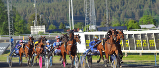 Hattrick för Vitsandsamatören i Lycksele