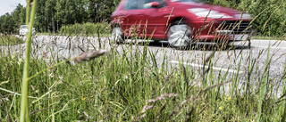 Här är polisens trafikråd inför midsommar