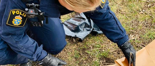 Stelfrusen orm fick följa med polisen