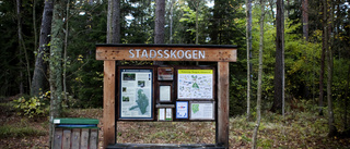 Ni har förstört naturreservatet