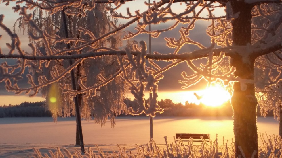 Tänk att kunna promenera på förmiddagen då solen skiner, att gå på bio mitt på dagen, läsa PT och äta långfrukost... ja, det finns så mycket att glädjas åt som pensionär, menar skribenten.