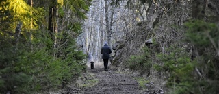 Promenad i grön natur vann vår tävling