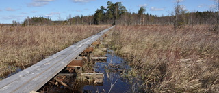 Domstol öppnar för mineralundersökning