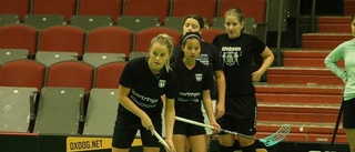 Inga DM-finaler i innebandy   