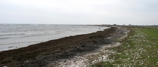 Dagens strandskydd hämmar lokal utveckling