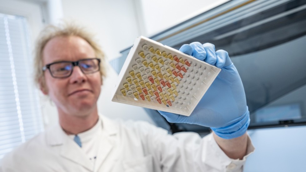Jonas Björkman, mikrobiolog, med en testplatta med coronavirusprover.
