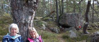 Tomtar får fristad i Hummelstad