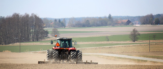 Fortsatt jakt på närproducerat i kommunen