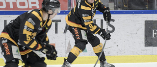 Nowick presenterad av SHL-klubben