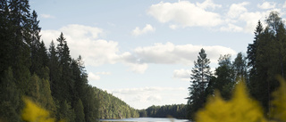 Så faller Bergslagen i smaken