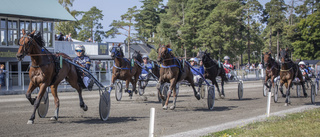 Travexpertens hetaste tips inför V64