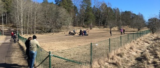 Solen lockade Uppsalabor till Stabbyskogen