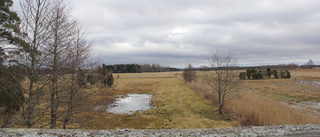 Fler våtmarker behövs för rikare skogar i Östergötland