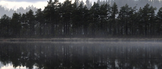 Sjöutsikt är en naturresurs att ta vara på