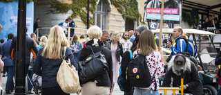 Almedalsveckan mår bra av att kortas